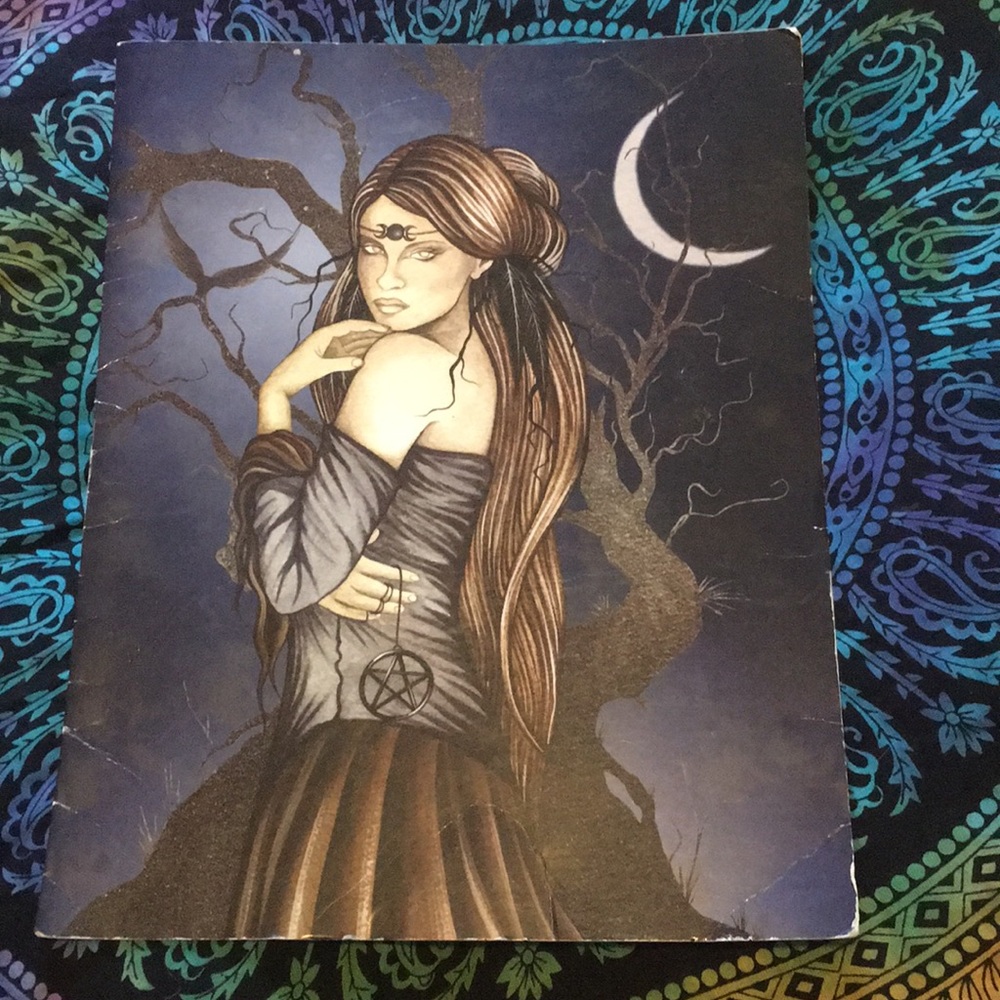 witch fairy art folder